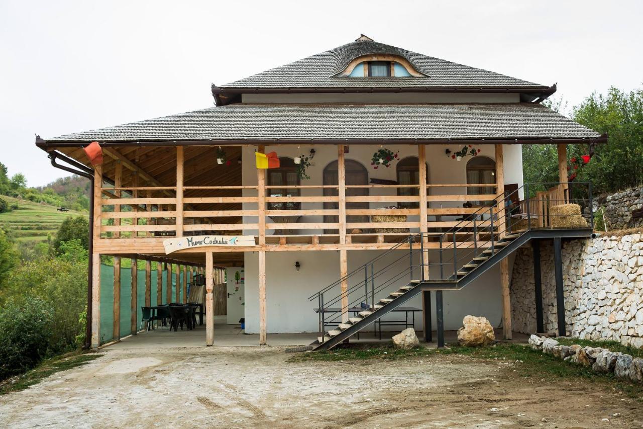 Hotel Muma Codrului Vascau Zewnętrze zdjęcie