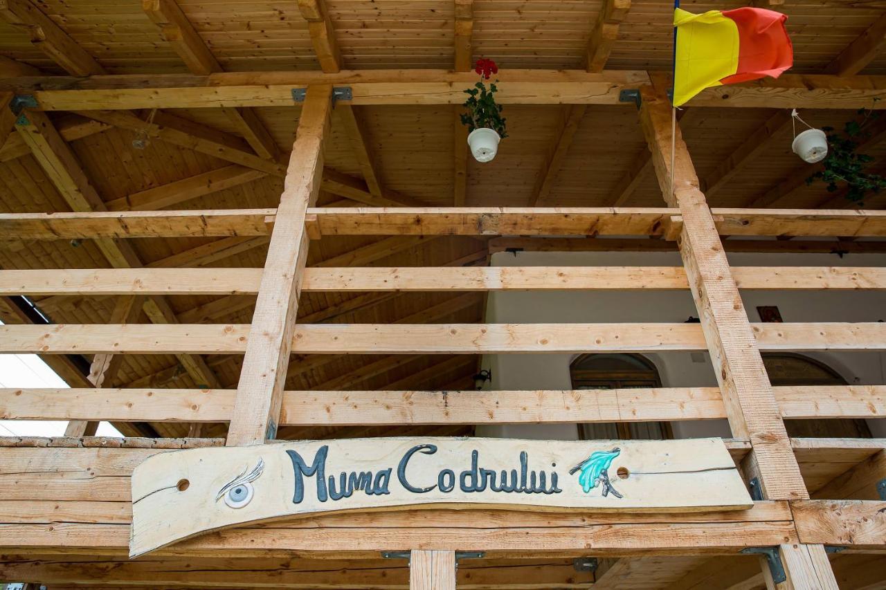 Hotel Muma Codrului Vascau Zewnętrze zdjęcie