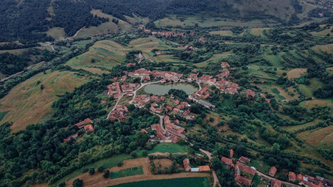 Hotel Muma Codrului Vascau Zewnętrze zdjęcie